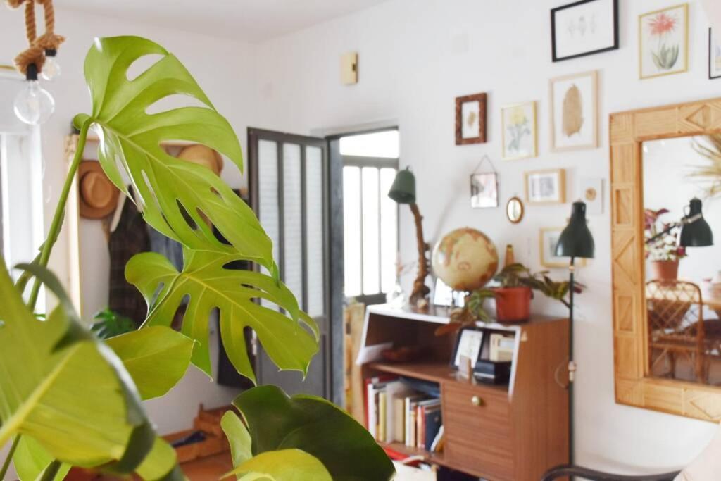 Bamboo House Aljezur Lejlighed Eksteriør billede