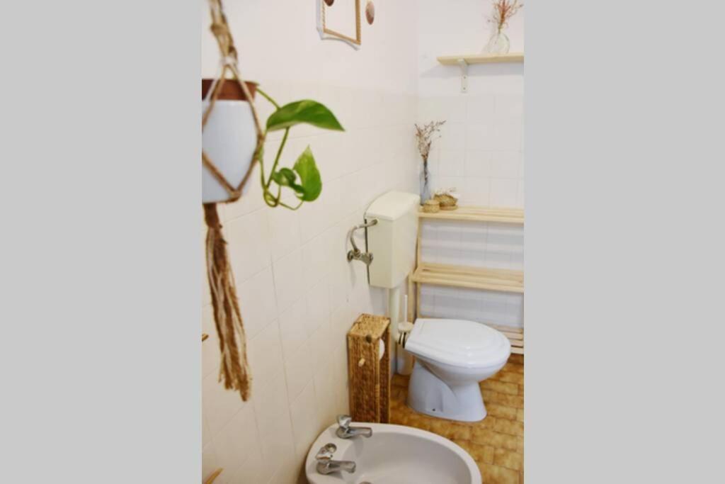 Bamboo House Aljezur Lejlighed Eksteriør billede